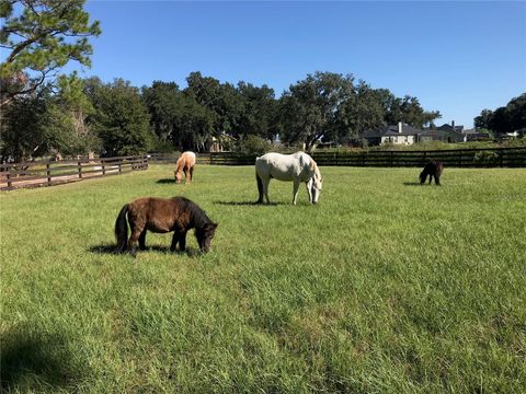 Tiny photo for 10925 Arrowtree Boulevard, Clermont, FL 34715 (MLS # O6400160)