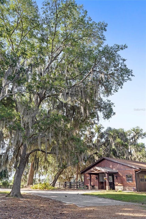 Tiny photo for 10925 Arrowtree Boulevard, Clermont, FL 34715 (MLS # O6400160)
