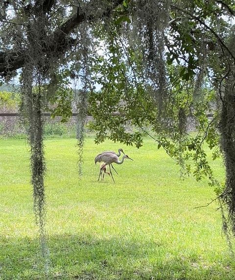 Tiny photo for 10925 Arrowtree Boulevard, Clermont, FL 34715 (MLS # O6400160)