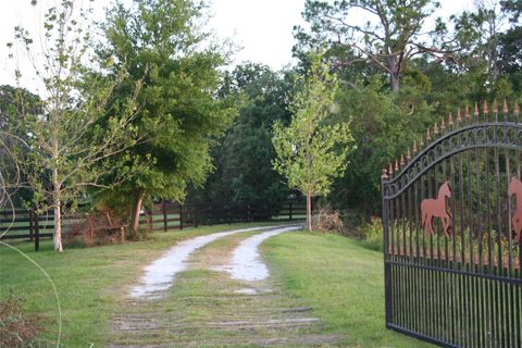 Tiny photo for 10925 Arrowtree Boulevard, Clermont, FL 34715 (MLS # O6400160)