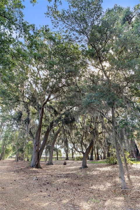 Tiny photo for 10925 Arrowtree Boulevard, Clermont, FL 34715 (MLS # O6400160)