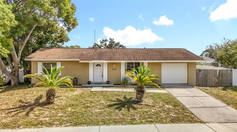 Photo of 12349 Corrine Avenue, Spring Hill, FL 34609 (MLS # W7879718)