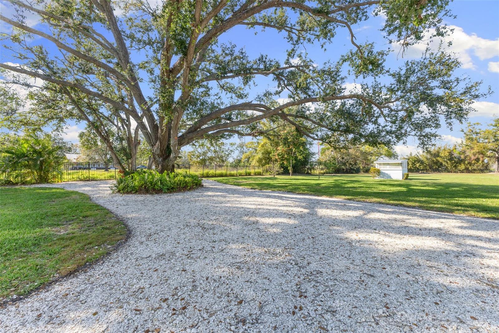 TERRA CIEA - Residential