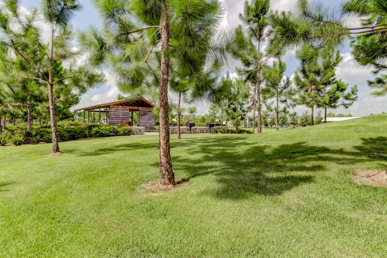 STARKEY RANCH VILLAGE 1 PH 2B - Residential