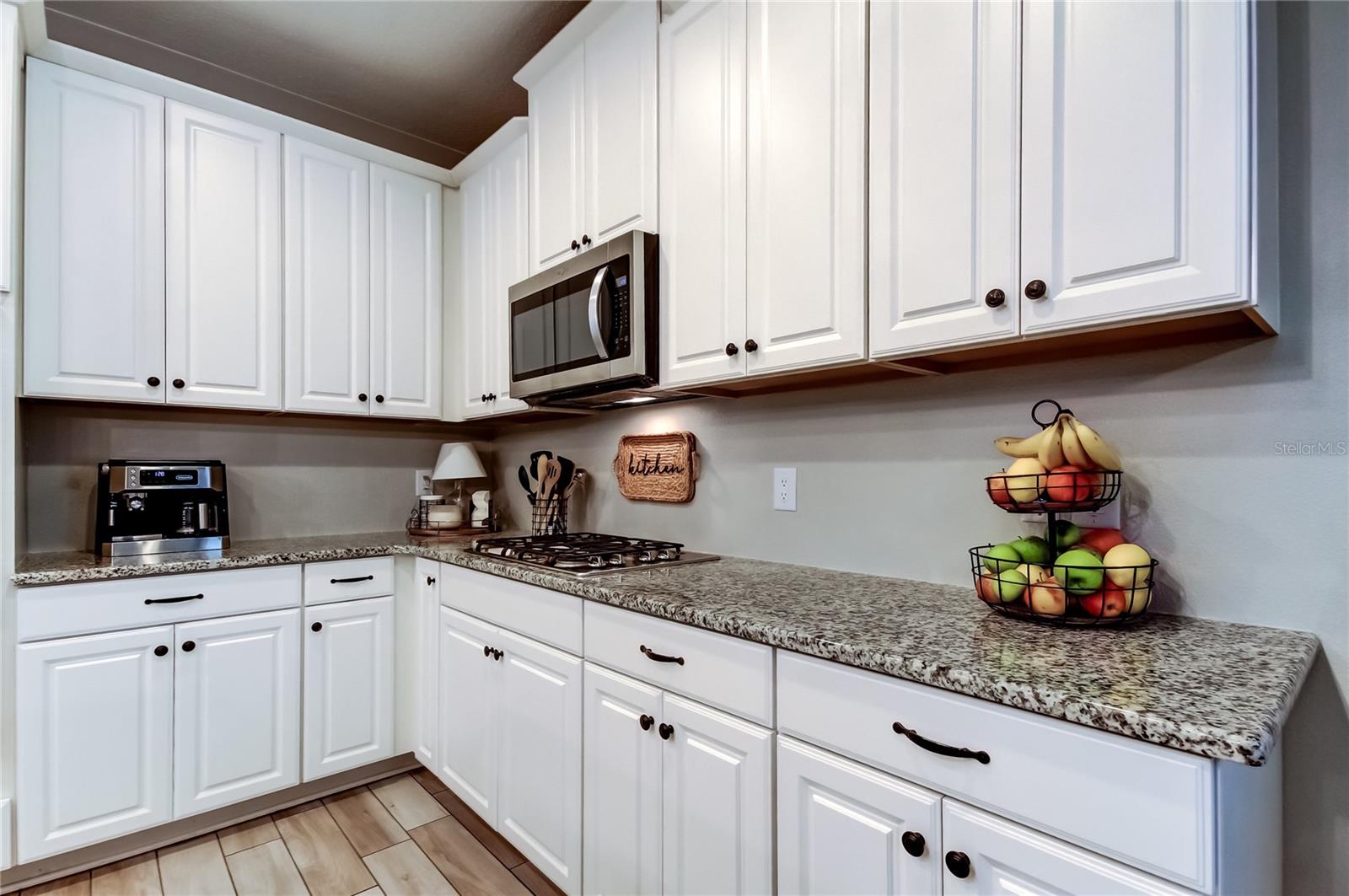 STARKEY RANCH VILLAGE 1 PH 2B - Residential