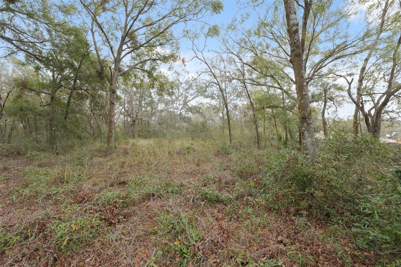 HIGHLAND FOREST UNREC - Land