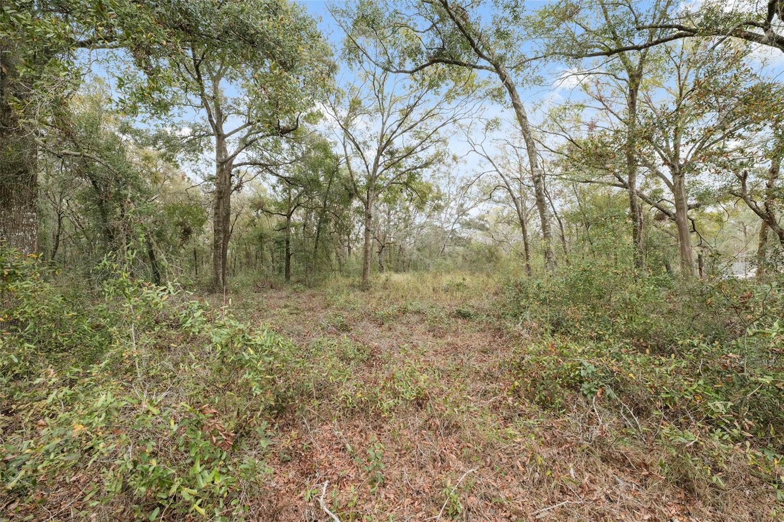 HIGHLAND FOREST UNREC - Land