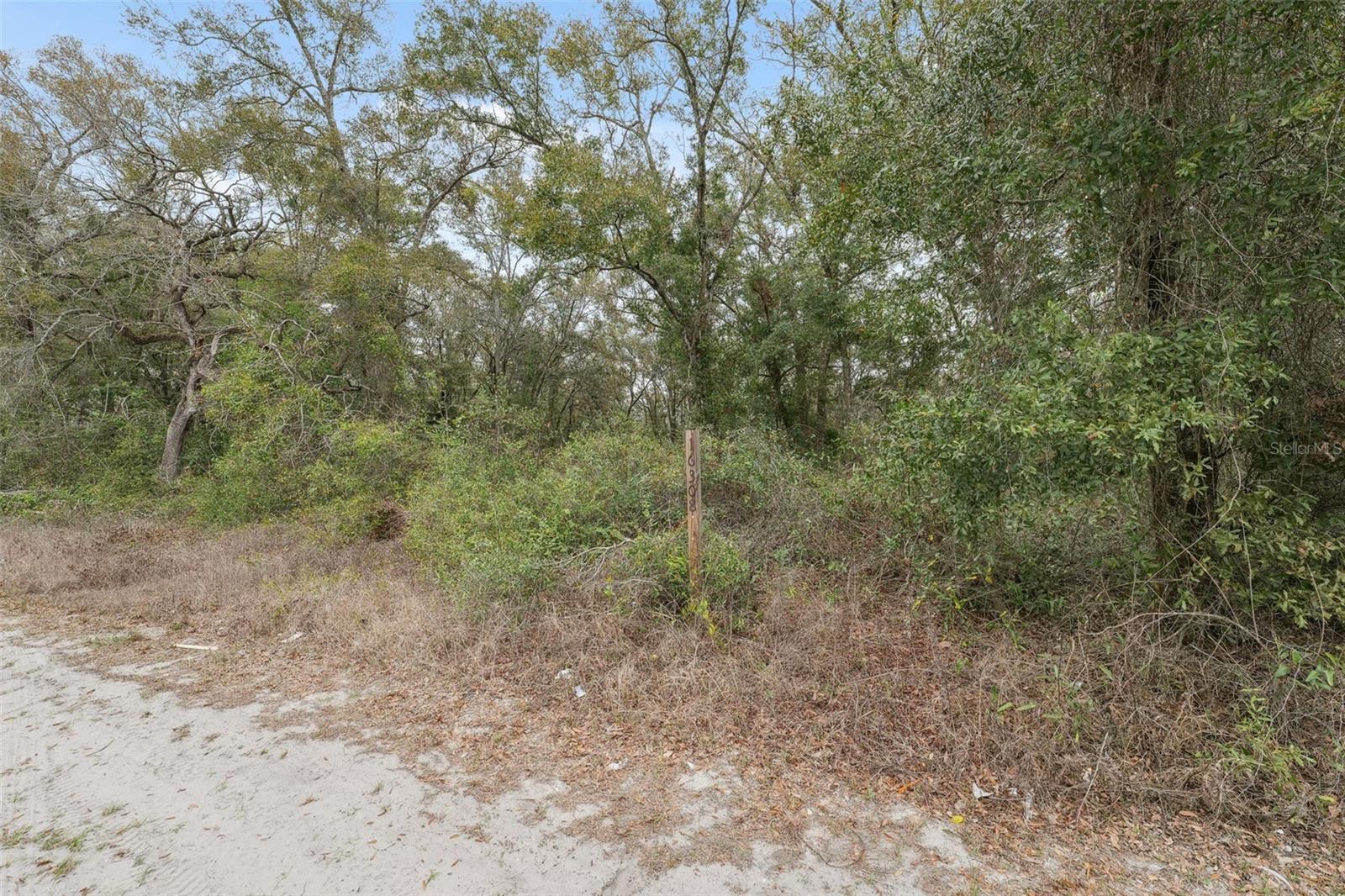 HIGHLAND FOREST UNREC - Land