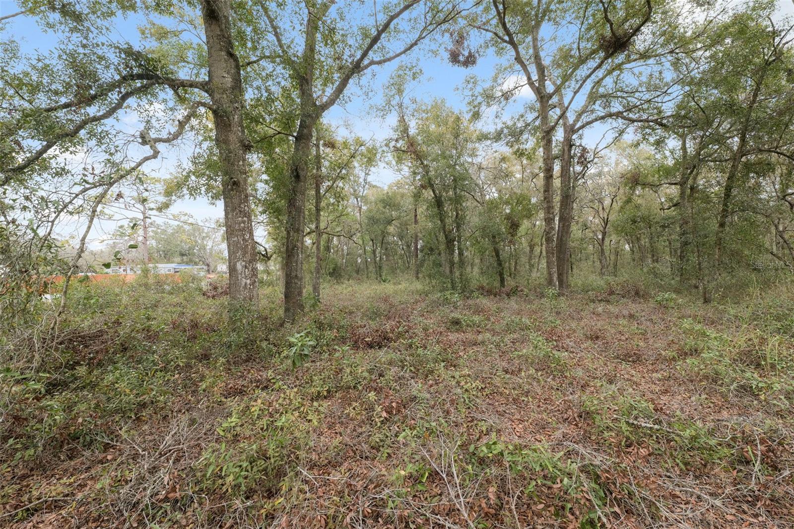 HIGHLAND FOREST UNREC - Land