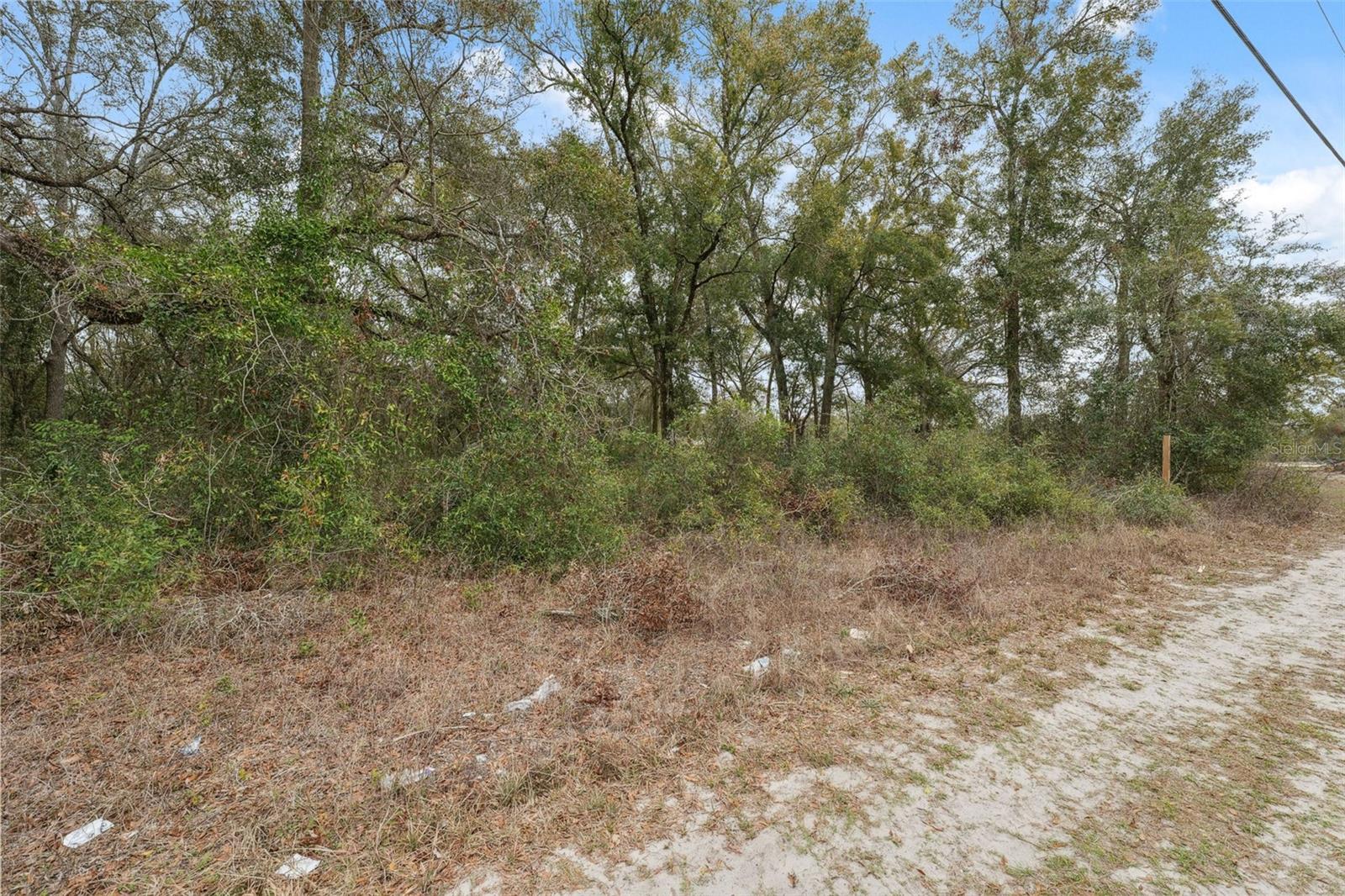 HIGHLAND FOREST UNREC - Land