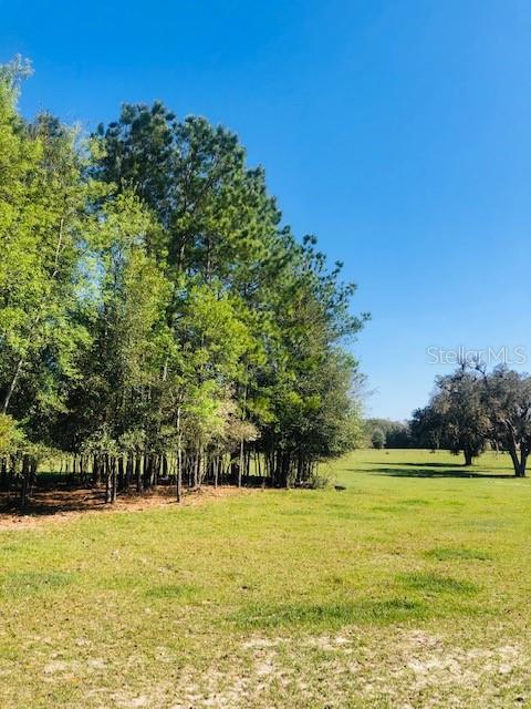 WESTFIELD FARMS - Land