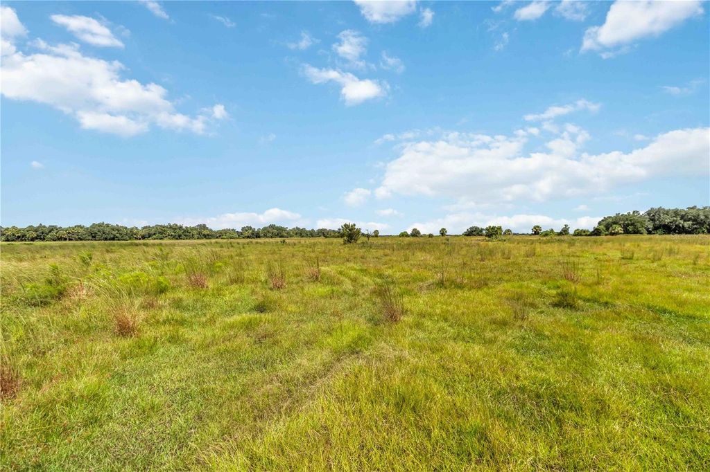 Photo of SW Gordon Hay Road, Arcadia, FL 34269 (MLS # N6140996)