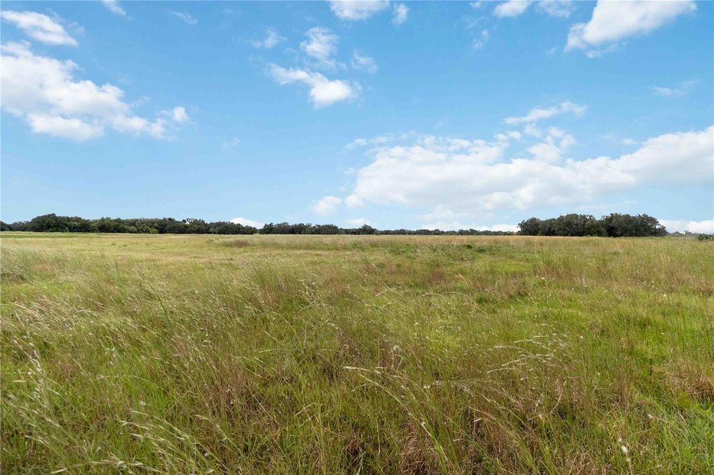 Photo of SW Gordon Hay Road, Arcadia, FL 34269 (MLS # N6140996)