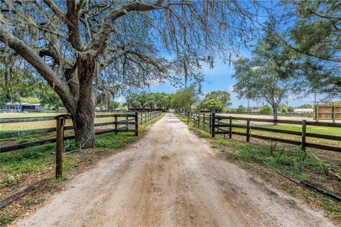 12714 TYLER RUN AVENUE ODESSA FL 33556