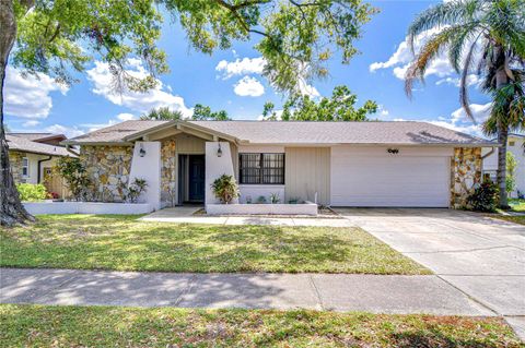 4110 SUMMERDALE DRIVE TAMPA FL 33624