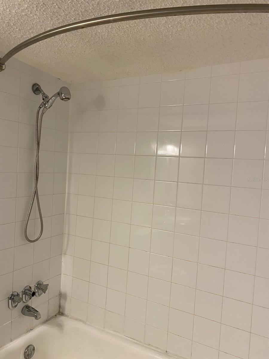 MILLENNIUM PALMS - Residential Lease