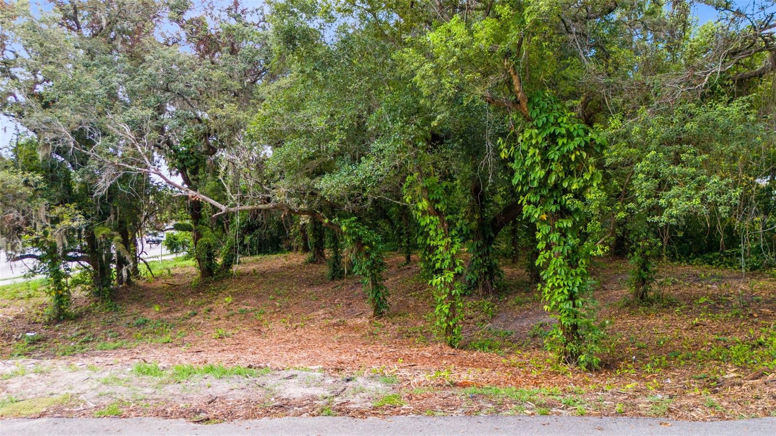 ACREAGE - Land