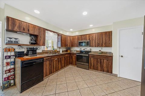 Tiny photo for 650 E Wacker Street, Hernando, FL 34442 (MLS # OM720125)