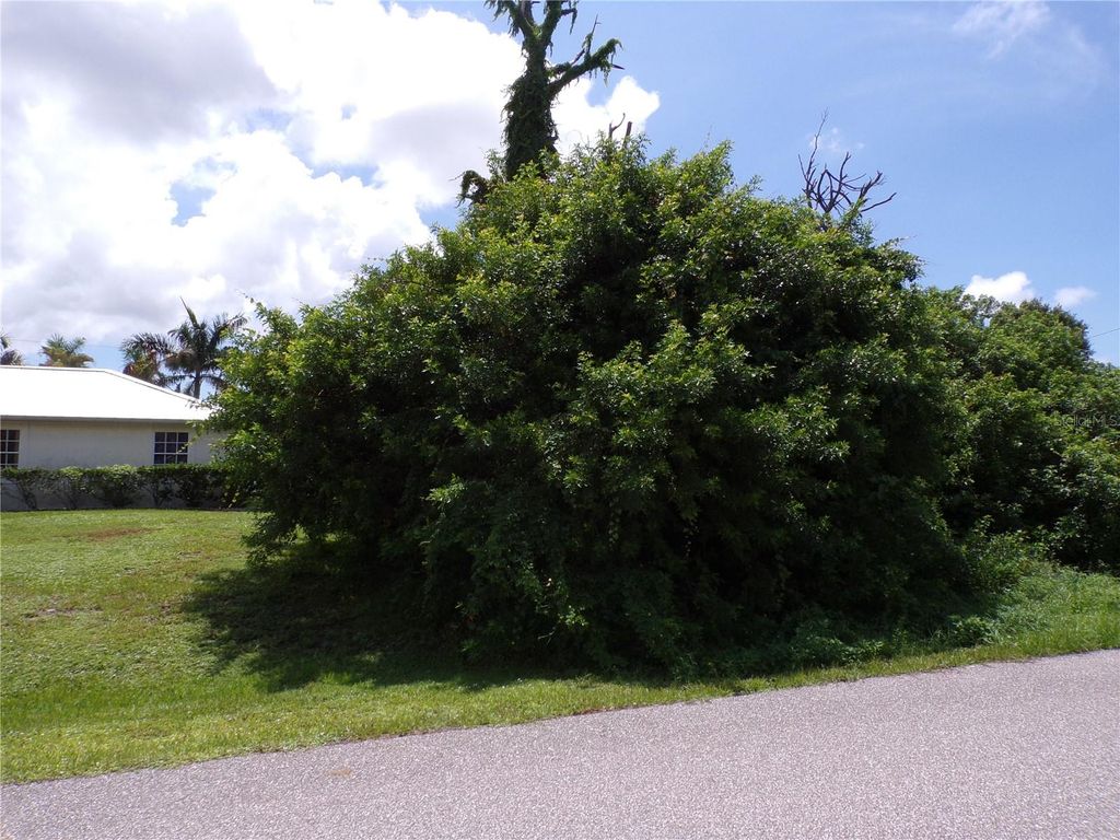 Photo of 2466 Fourwind Street, Port Charlotte, FL 33948 (MLS # C7512479)