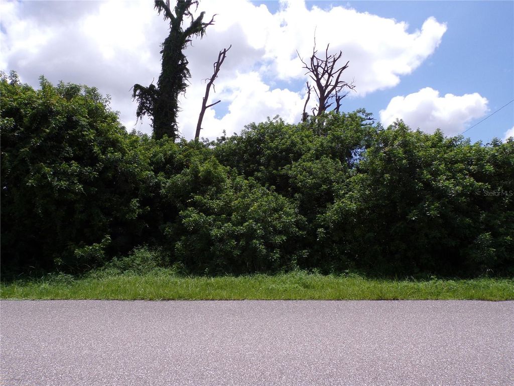 Photo of 2466 Fourwind Street, Port Charlotte, FL 33948 (MLS # C7512479)