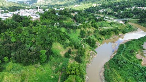 KM 14.5 BO JAGUAS CIALES  00638