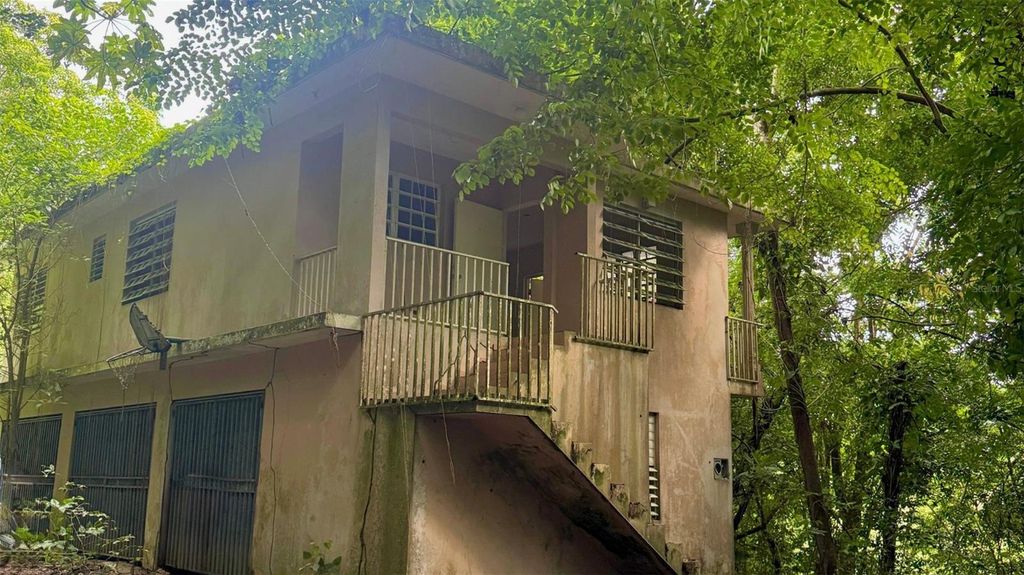 Photo of 14 Bo Jaguas, Ciales, PR 00638 (MLS # PR9116914)