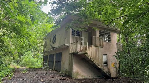 Photo of 14 Bo Jaguas, Ciales, PR 00638 (MLS # PR9116914)