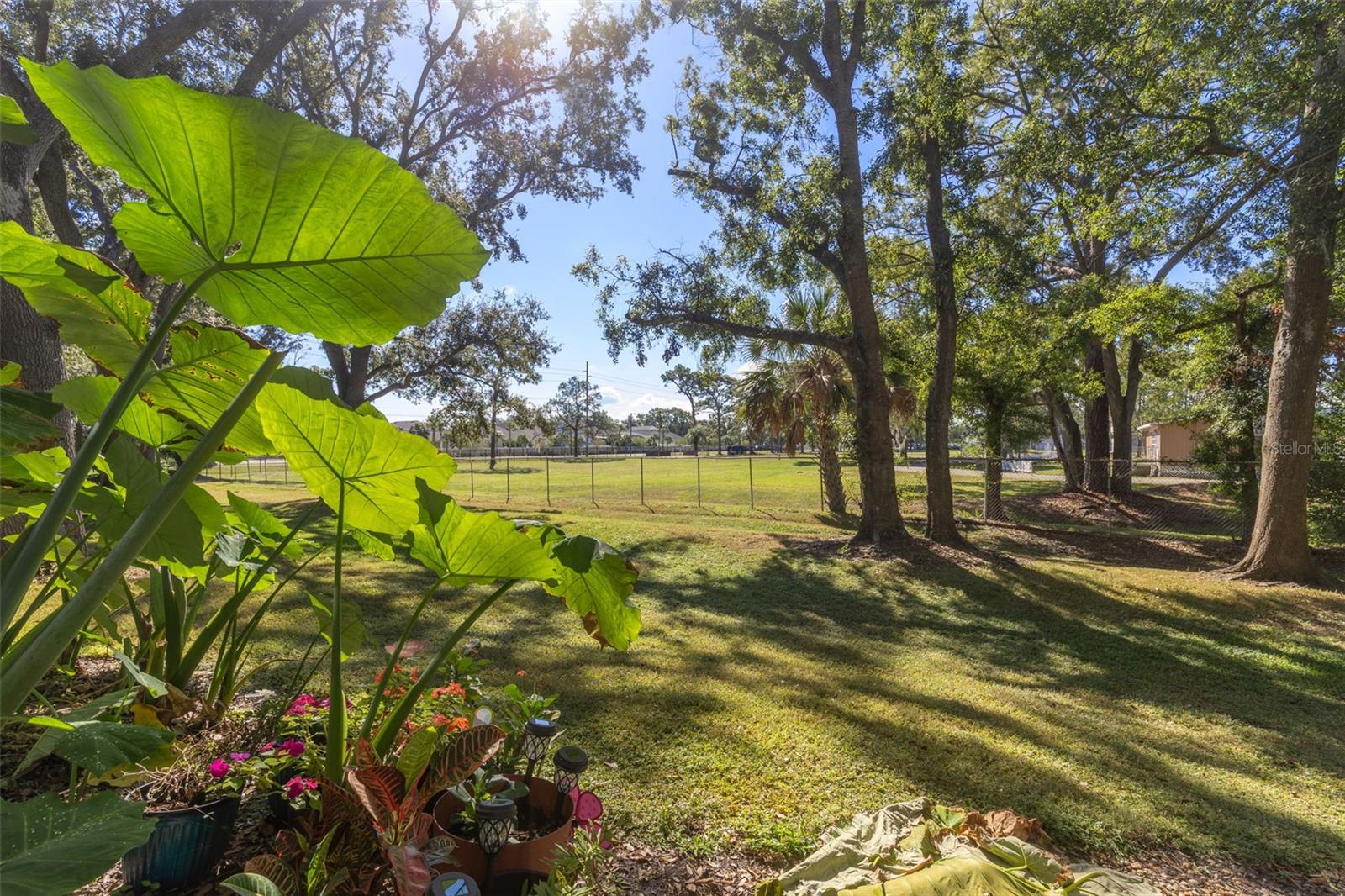 MAGDELENE COURT A CONDO - Residential