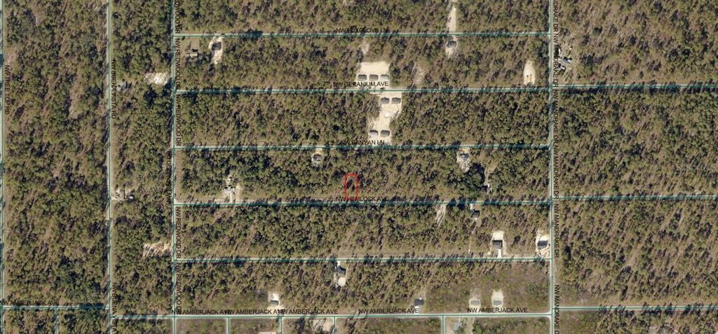 Photo of 1814 NW Hemlock Avenue, Dunnellon, FL 34431 (MLS # A4667898)