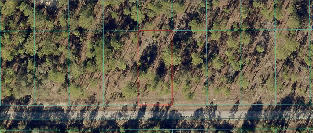 Photo of 1814 NW Hemlock Avenue, Dunnellon, FL 34431 (MLS # A4667898)
