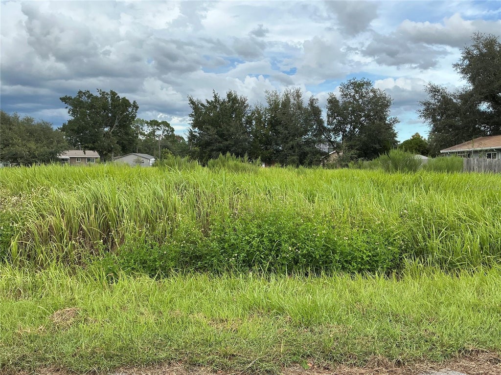 Photo of Pine Course Run, Ocala, FL 34472 (MLS # OM732473)