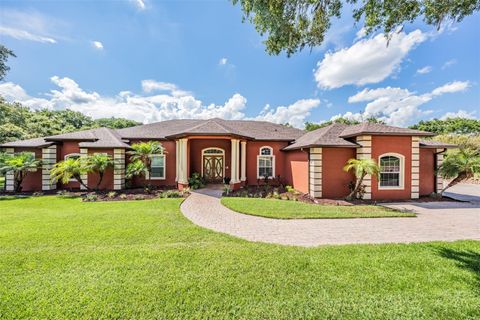 A home in DADE CITY