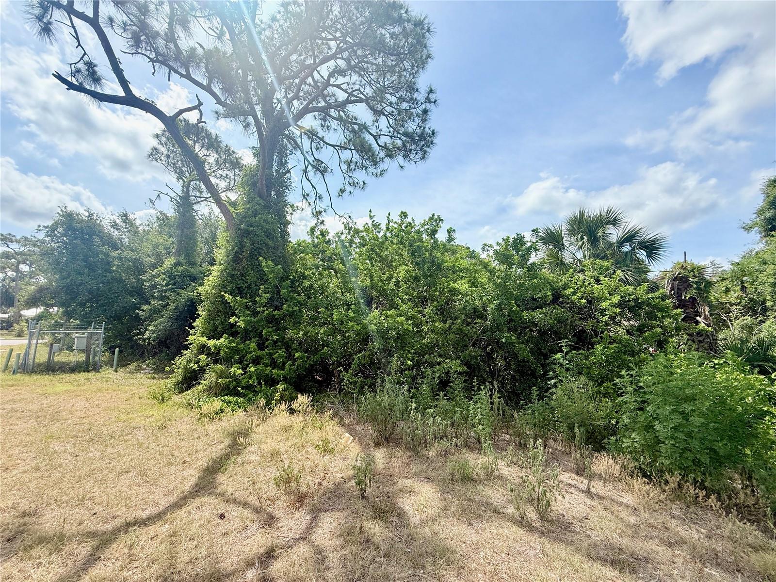 FAIRWAY - Land