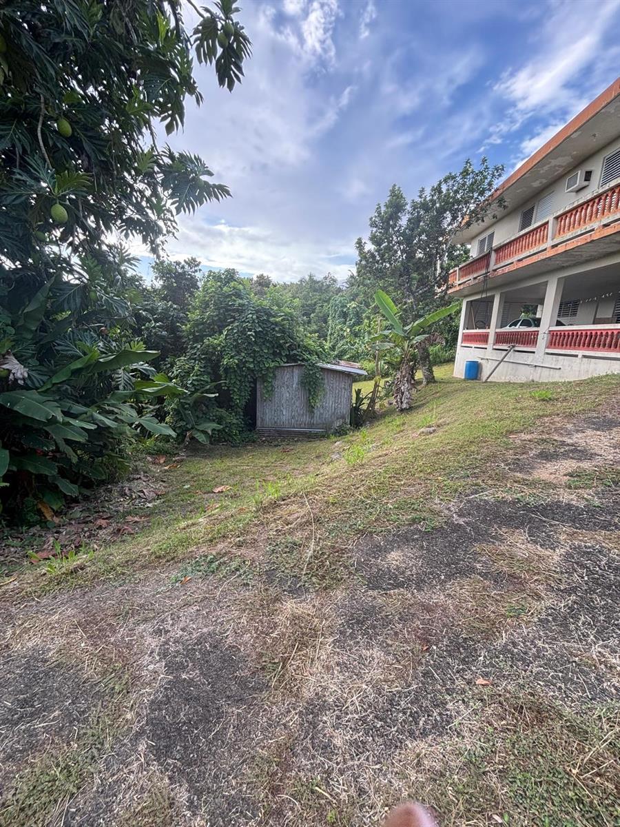 TOMAS DE CASTRO - Residential