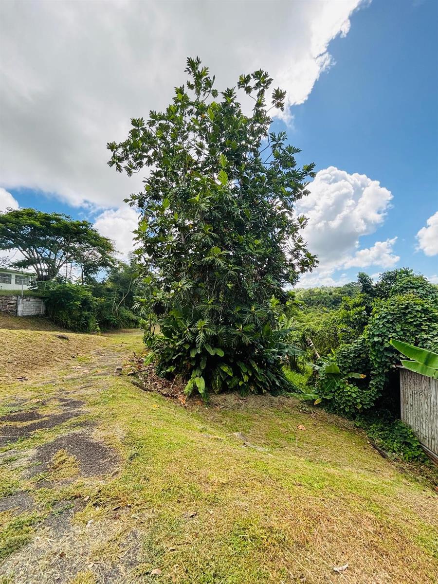 TOMAS DE CASTRO - Residential