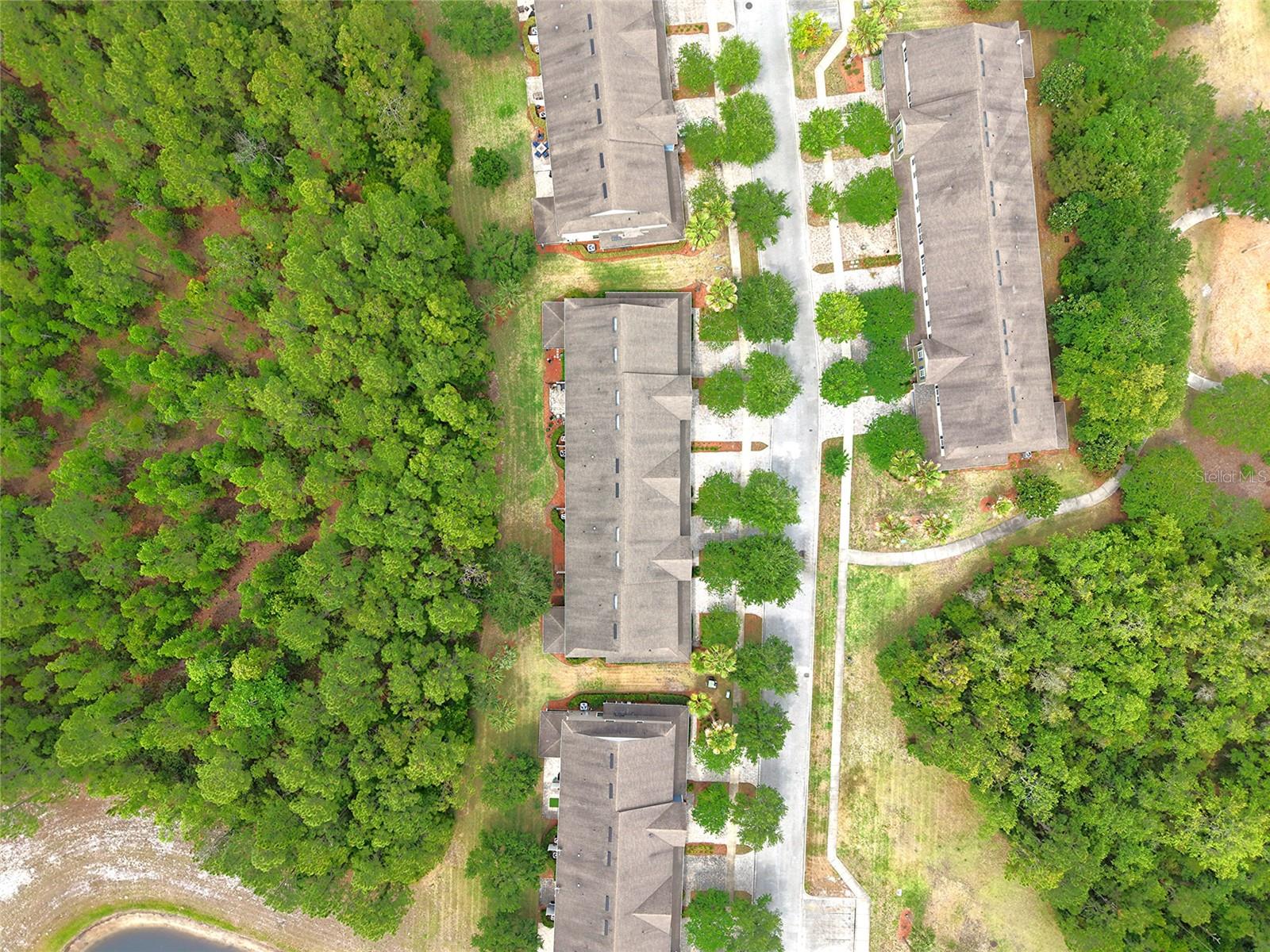 NOCATEE - Residential