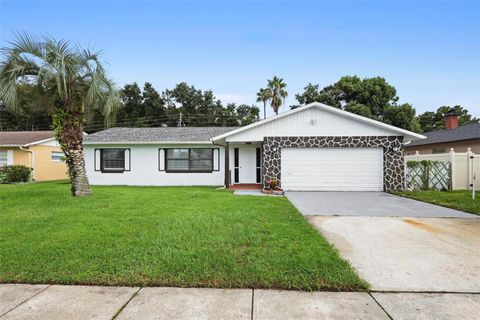 A home in ORLANDO