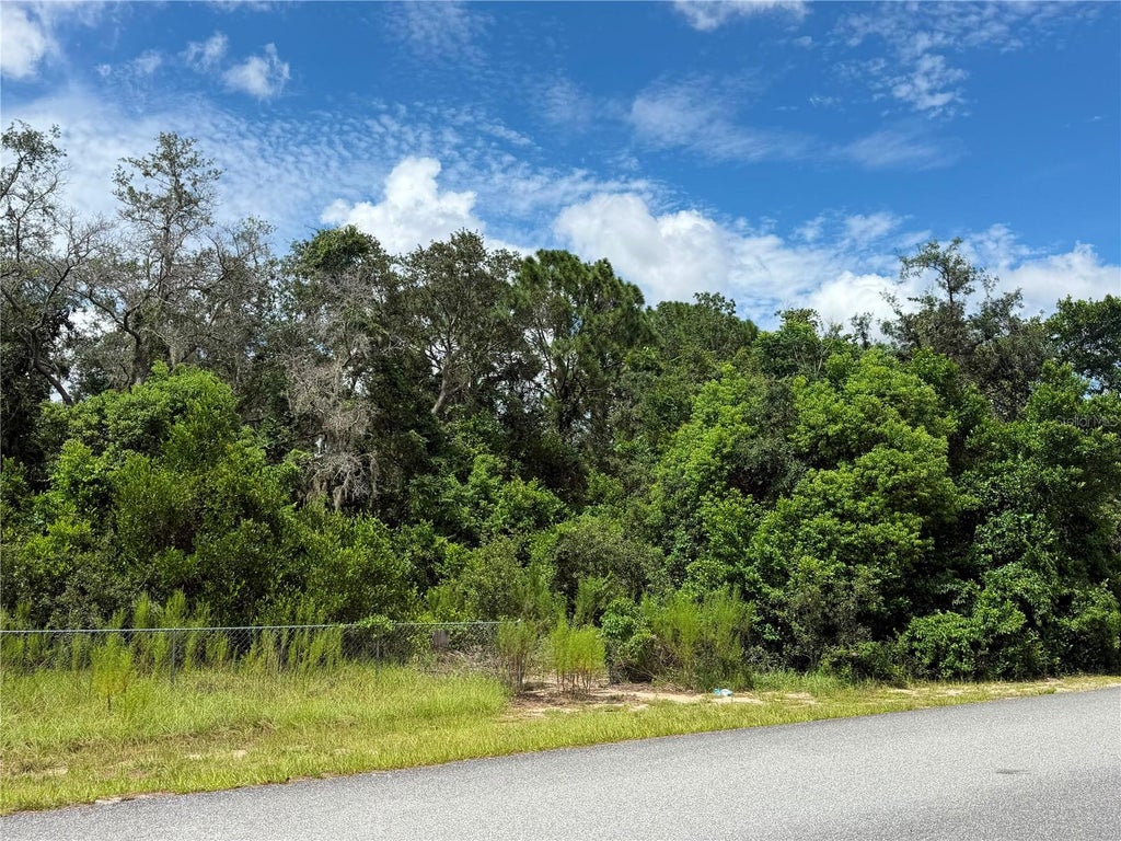 Photo of 12365 Barrow Street, Spring Hill, FL 34609 (MLS # W7888806)