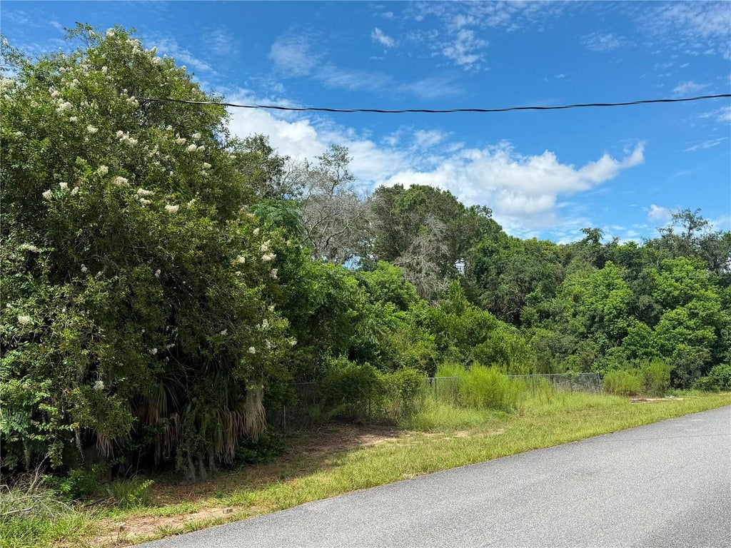 Photo of 12365 Barrow Street, Spring Hill, FL 34609 (MLS # W7888806)
