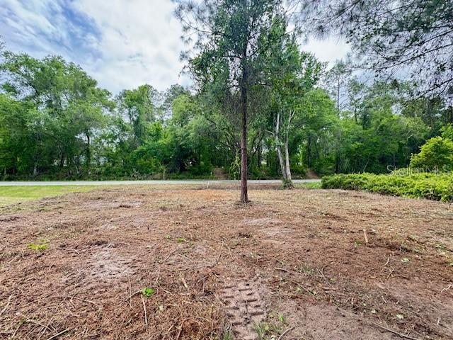 SILVER SPGS SHORES UN 34 - Land