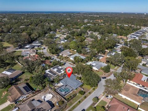 A home in PALM HARBOR