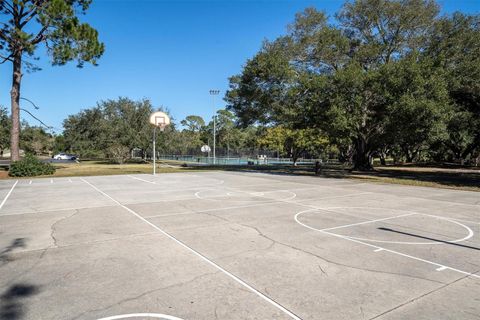 A home in PALM HARBOR