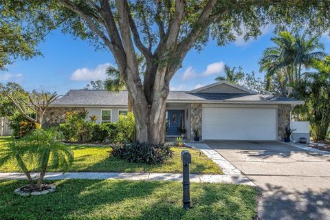 A home in PALM HARBOR