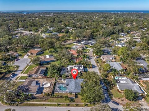 A home in PALM HARBOR