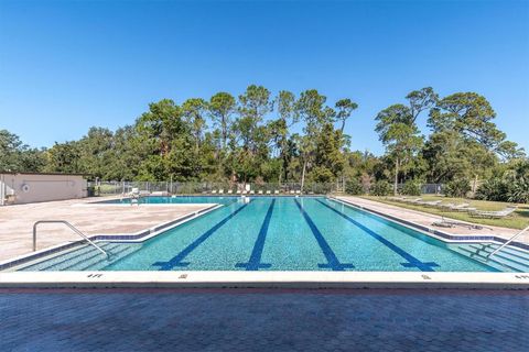 A home in PALM HARBOR