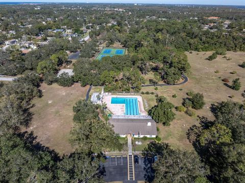 A home in PALM HARBOR