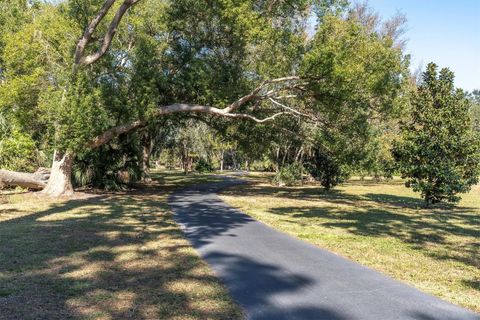 A home in PALM HARBOR