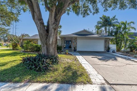 A home in PALM HARBOR