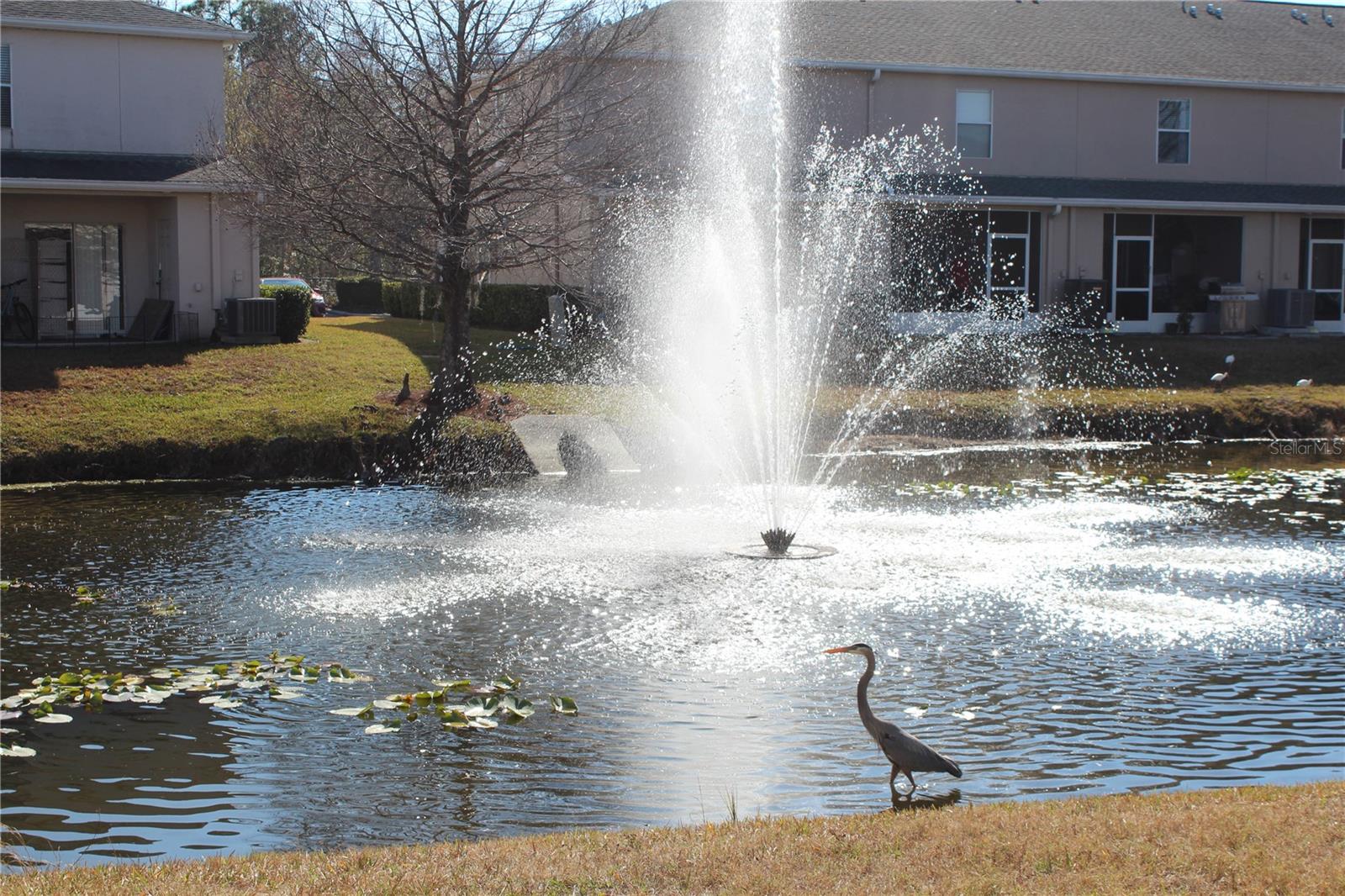SWAN VIEW TWNHMS - Residential