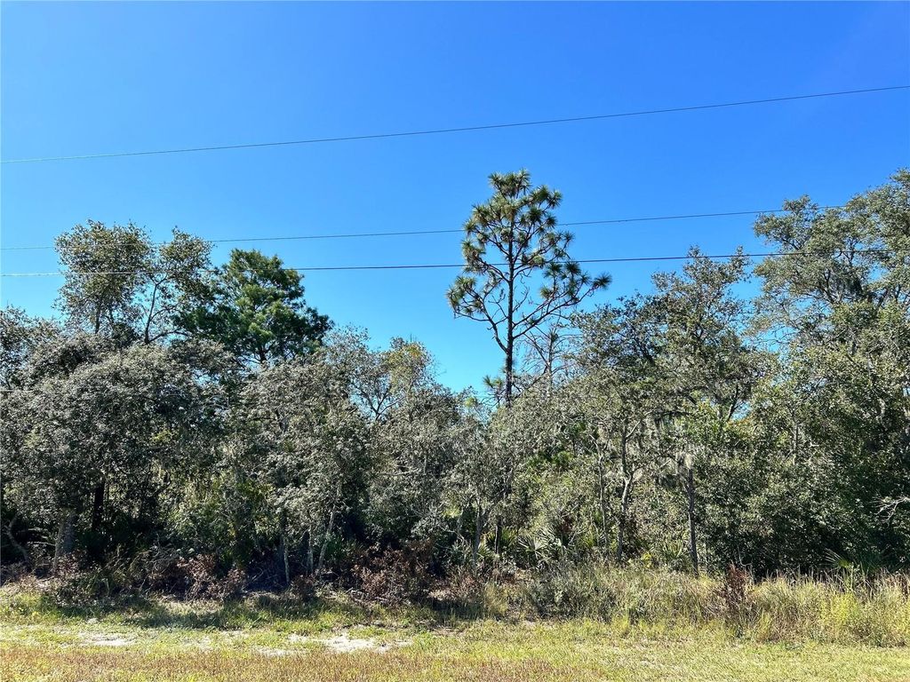 Photo of Woodstork Way, Frostproof, FL 33843 (MLS # L4957348)